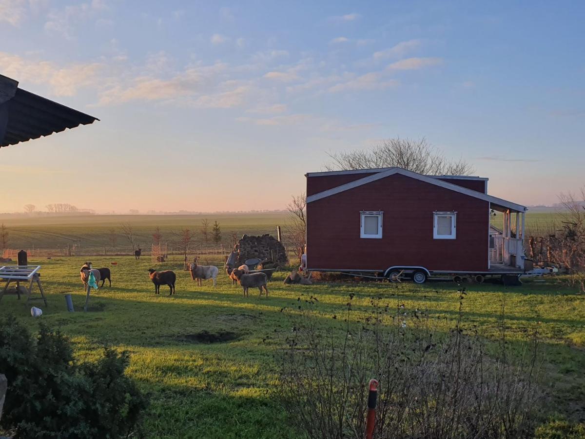 Tiny House Vila Schonbeck  Exterior foto
